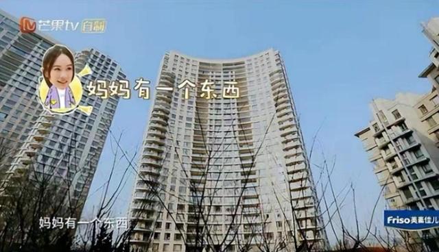 杜江霍思燕近期合影(京圈富婆霍思燕)(44)