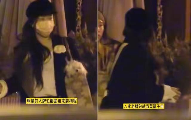 杜江霍思燕近期合影(京圈富婆霍思燕)(50)