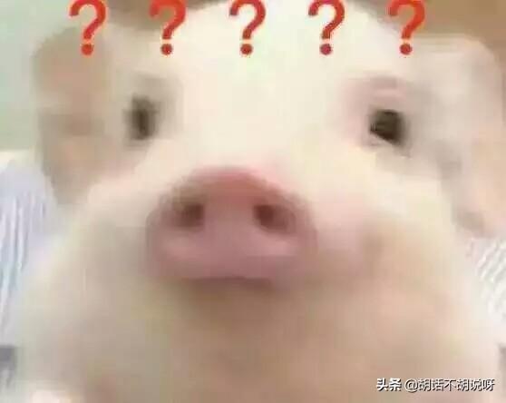 回忆我们儿时那些经典的影视（唐人影视的经典电视剧电影盘点）(1)