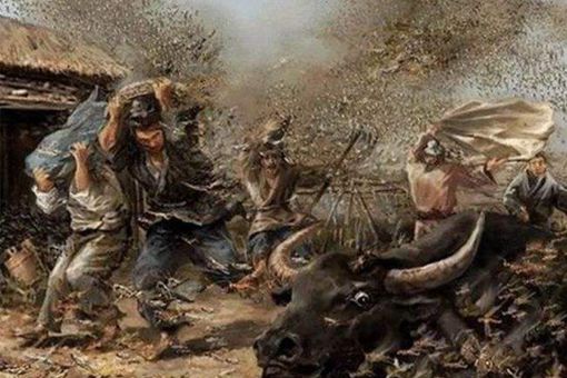 甲子年灾难很多吗 有哪些