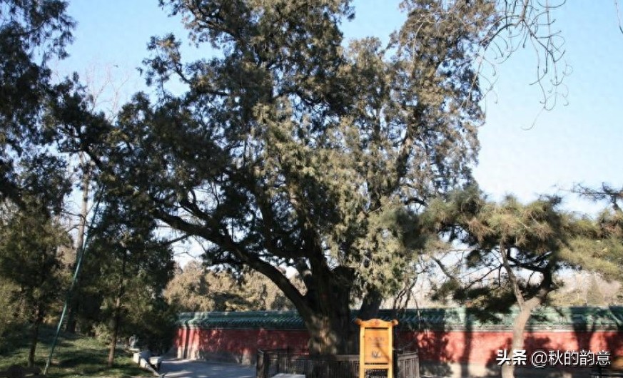 北京日坛公园，原为明清两代帝王祭祀大明之神“太阳”的处所