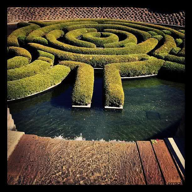 玛莲娜·摩根个人资料写真作品