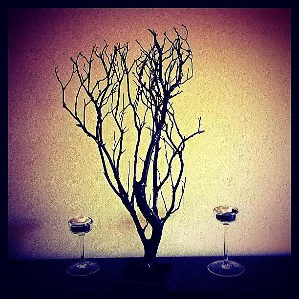 玛莲娜·摩根个人资料写真作品