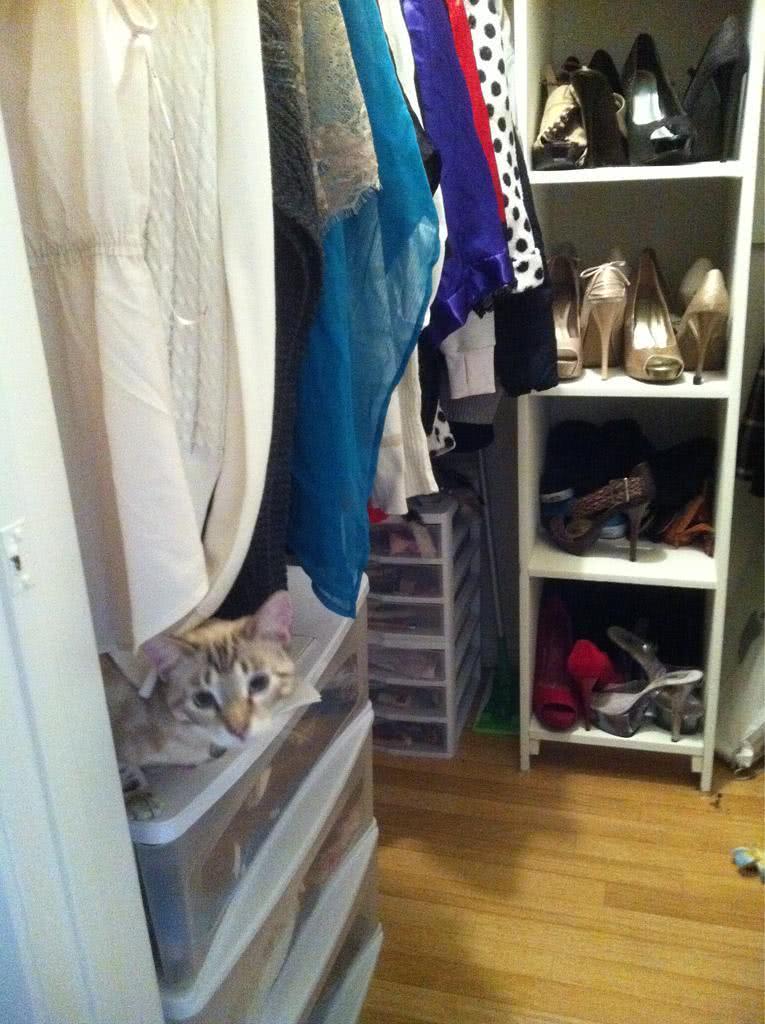 玛莲娜·摩根个人资料写真作品