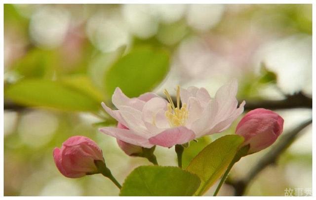 网络图片(侵删)