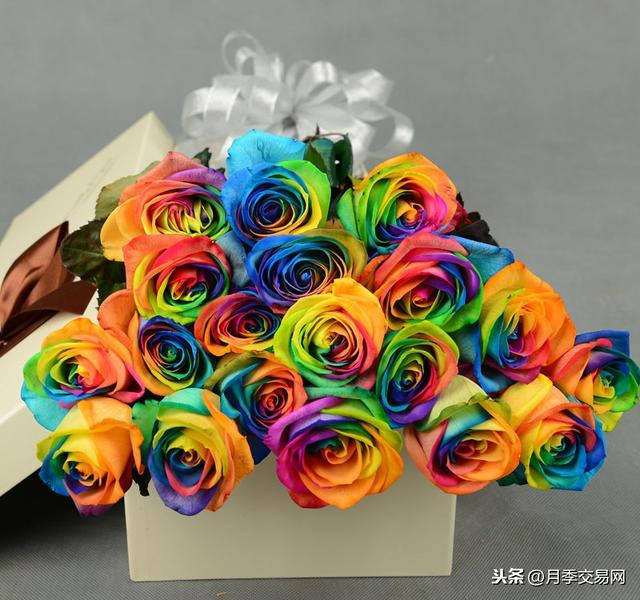 七彩玫瑰花语是什么（彩虹玫瑰惊艳现身送礼的特别选择）