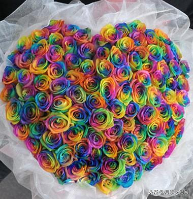 七彩玫瑰花语是什么（彩虹玫瑰惊艳现身送礼的特别选择）