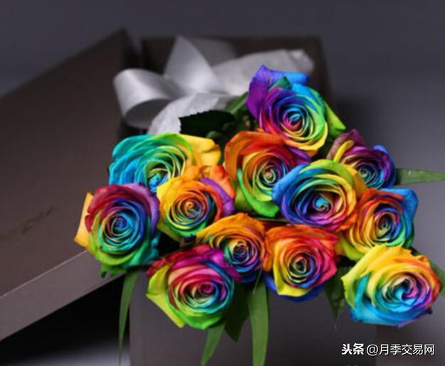 七彩玫瑰花语是什么（彩虹玫瑰惊艳现身送礼的特别选择）
