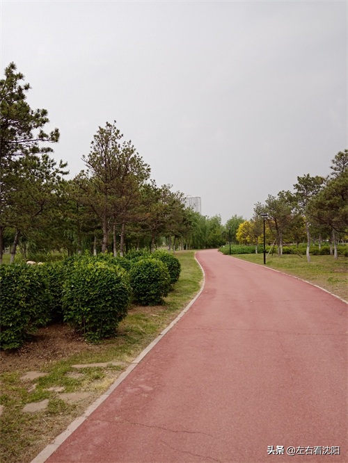 沈北“七星公园-开阳园”实景图片