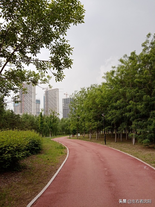 沈北“七星公园-开阳园”实景图片