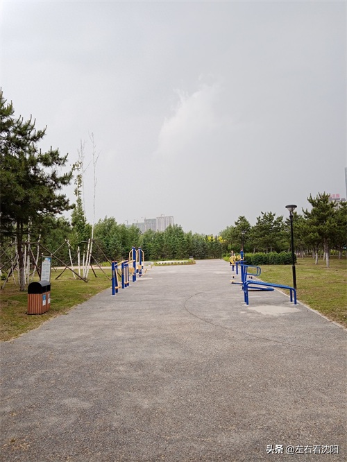 沈北“七星公园-开阳园”实景图片
