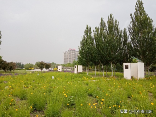 沈北“七星公园-开阳园”实景图片