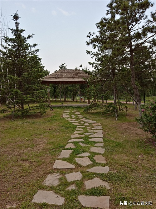 沈北“七星公园-开阳园”实景图片