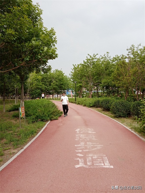 沈北“七星公园-开阳园”实景图片