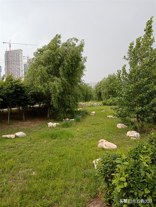 沈北“七星公园-开阳园”实景图片