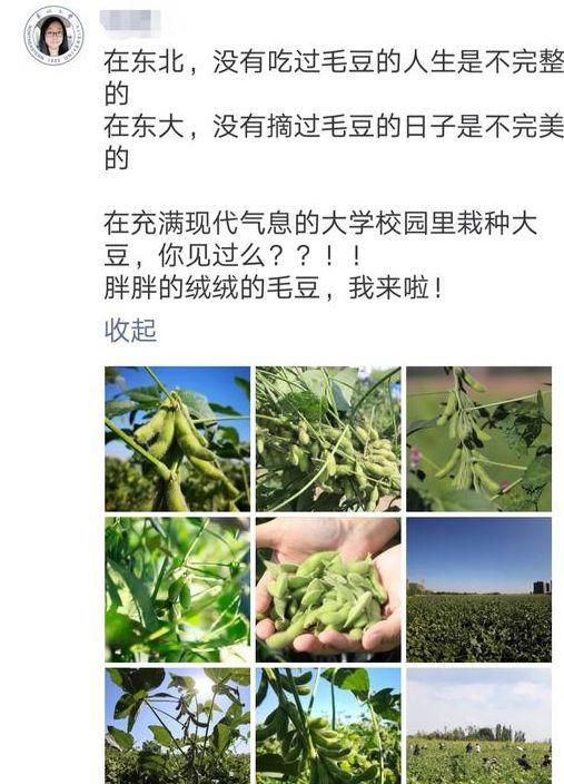 别人家的学校:2千斤鱼“踩盆”吃 74亩毛豆“随便”摘!