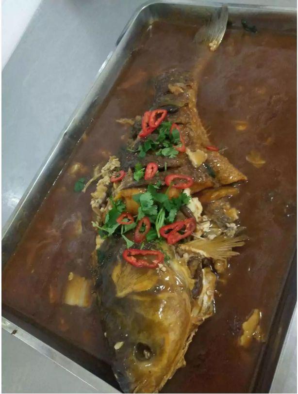 别人家的学校:2千斤鱼“踩盆”吃 74亩毛豆“随便”摘!