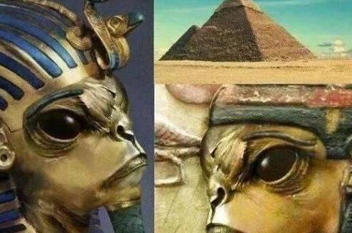 达尔文的进化论误导了人类一百多年，其实人类不是进化而来的