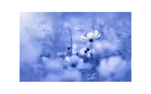 父母考察女儿对象问什么问题 女方家长会问男朋友的问题