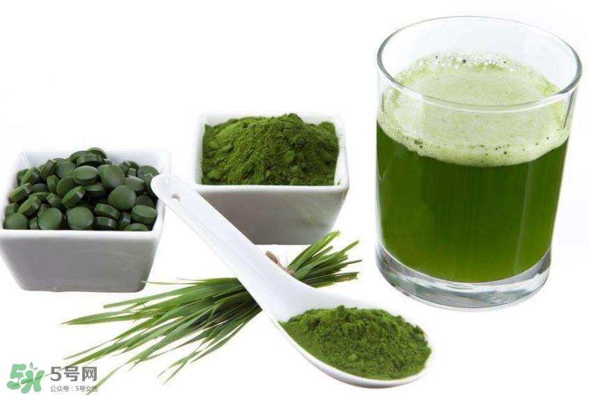 怎么辨别螺旋藻的真假?买螺旋藻怎么挑? 怎么辨别螺旋藻的真假?买螺旋藻怎么挑?