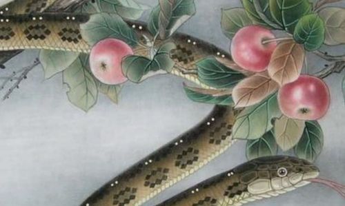 秋鱼掉进油锅里头 死蹦指的什么生肖