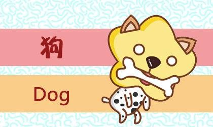 秋鱼是什么生肖,十二生肖属山肖的是什么图3