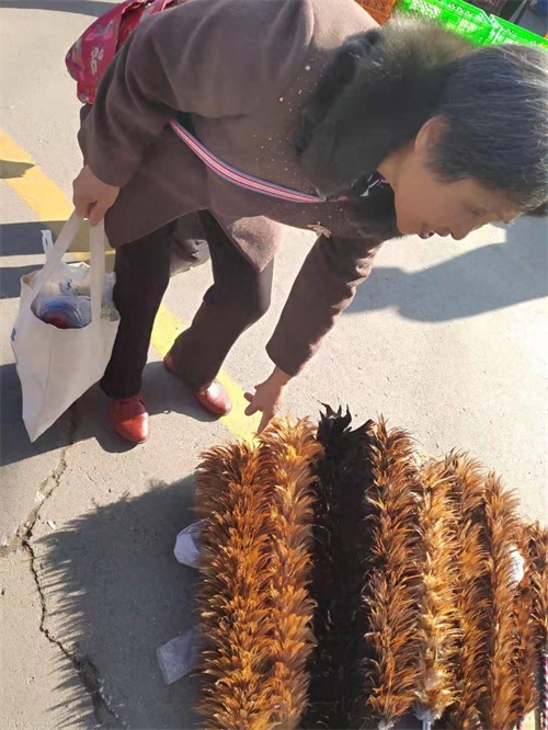 老物件鸡毛掸子很少见到，市场上唯一的卖鸡毛掸子的小贩还在坚守