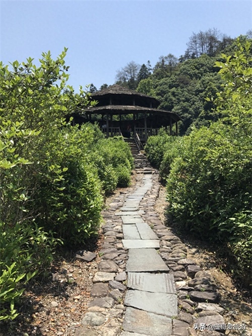 江西省 景德镇市 瑶里景区