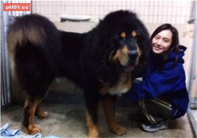 朱茵周星驰爱情故事（她是周星驰最难忘的女友）(7)