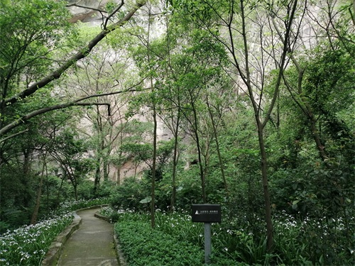 西樵山南海观音寺